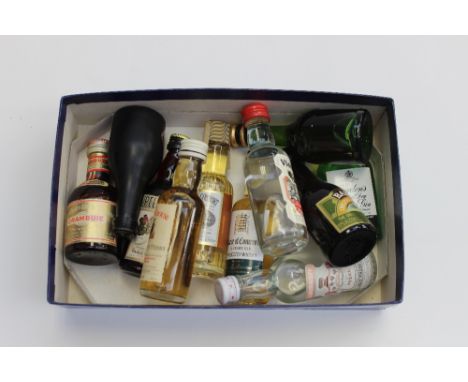 A collection of alcoholic miniatures, including Famous Grouse Scotch Whisky, Baileys Irish Cream, Drambuie, Gordons Gin, Vodk