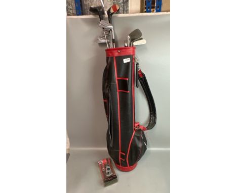 Ten assorted Golf clubs including Petron and Actionette in a leather golf bag / T14 