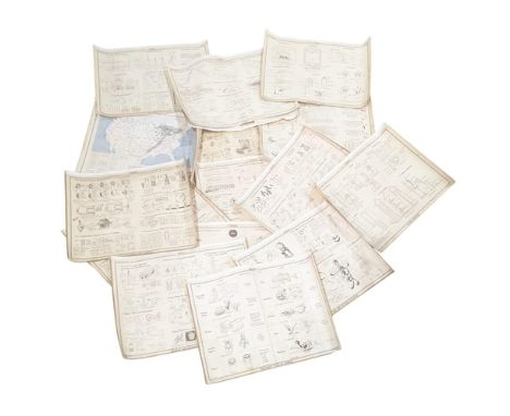 A complete collection of large vintage lithograph charts by A. J. Nystrom &amp; Co. Chicago. Consists of double sided large c
