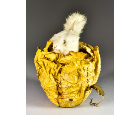 A French Musical Automaton, Late 19th Century, in the form of a white rabbit emerging from a cabbage or lettuce, 7ins high, a