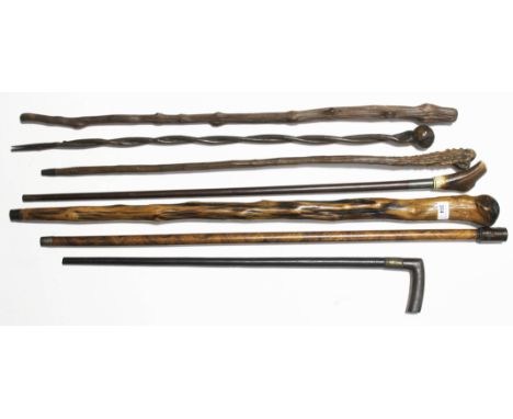 A collection of walking canes including knotwood, horn handled and a 'pipe' gadget stick.  