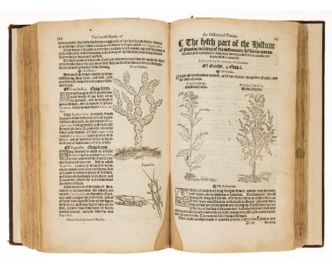 Herbal.- Dodoens (Rembert) A nievve herball, or historie of plantes, translated by Henry Lyte, first edition in English, blac