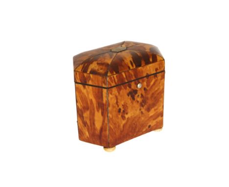 A SMALL TORTOISESHELL TEA CADDY, EARLY 19th CENTURY, of hexagonal form, with domed cover and raised on ivory flattened bun fe