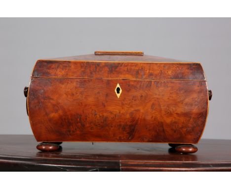 AN EARLY 19TH CENTURY BURR YEW TEA CADDY, of bombé form with ring handles and flattened bun feet, the interior with twin lidd