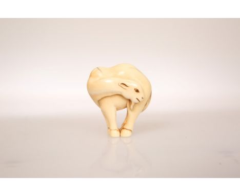 A JAPANESE IVORY NETSUKE, carved as a goat, probably 19th Century. 35mm wide