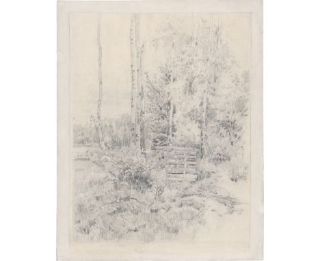 Hagemeister, Karl -- Waldrand mit BirkenBleistift auf Velin. 1887.62,8 x 49,6 cm.Unten rechts mit Bleistift signiert "K Hagem