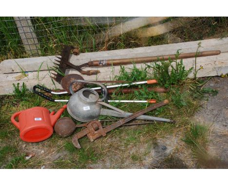 A quantity of watering cans, stilsons, ladle, tools, etc.