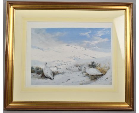 A Framed Limited Edition Archibald Thorburn Print, 57x44cm 