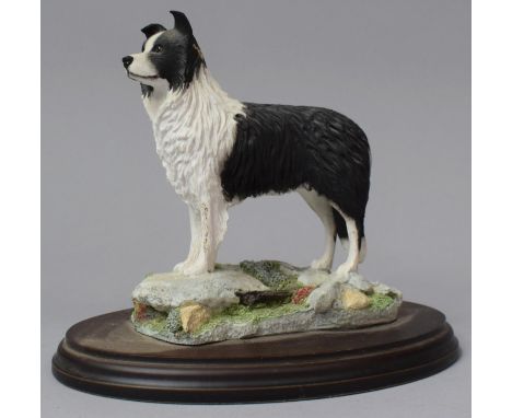 A Best of Breeds Model of Border Collie on Oval Plinth, 19cm Long 