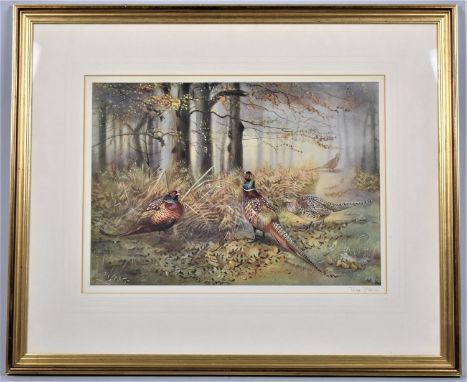 A Framed Philip Rickman Print Depicting Cock and Hen Pheasants, 54x39cm 