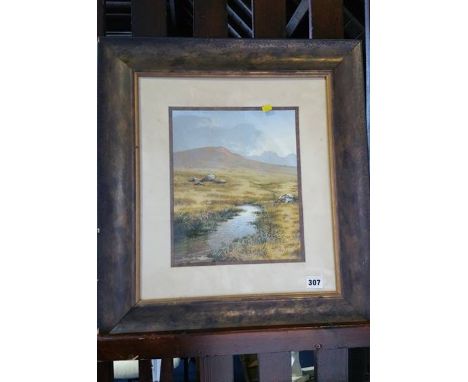 Oil by David Horswell 'Dartmoor portrait 2'
