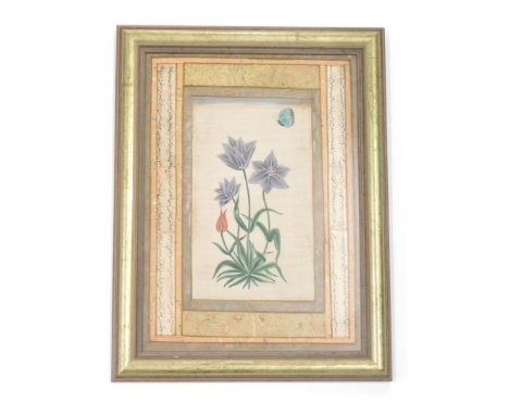 Indian School. Botanical specimen with turquoise coloured butterfly, inscribed to either side, watercolour, 31cm x 22cm.