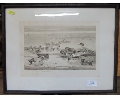 A signed Archibald Thorburn print, of ducks, 9ins x 12ins