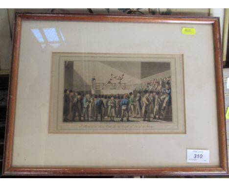 A 19th century botanical print and a 19th century print showing a boxing match
