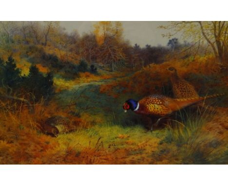 ARCHIBALD THORBURN limited edition (9/850) print - three pheasants feeding on grassland, 32 x 50cms