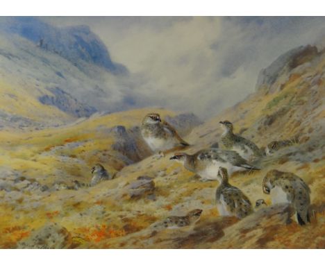 ARCHIBALD THORBURN limited edition (109/850) print - Scottish scene with game birds on the ground and stag on the hillside, 2