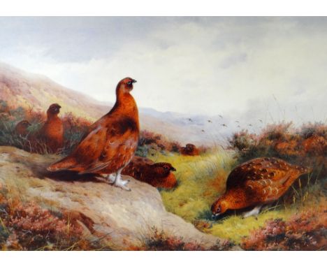ARCHIBALD THORBURN limited edition (109/850) print - six pheasants on the ground in gorse land, 36 x 49cms 