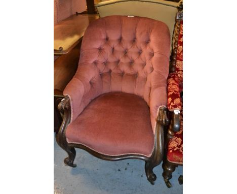 Victorian pink button upholstered spoon back armchair, raised on carved mahogany cabriole front supports 