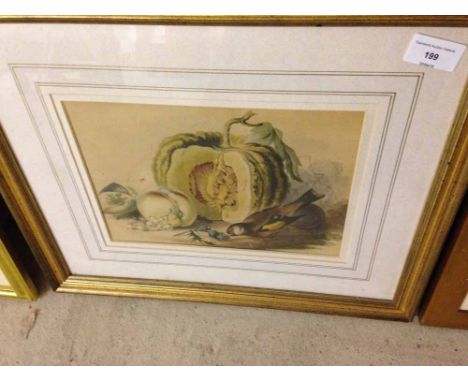 A framed &amp; glazed hand coloured print of a Goldfinch &amp; Fruit. 38 x 45cm.