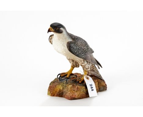 A 20TH CENTURY ROYAL CROWN DERBY MODEL OF A FALCON, on a rocky base, signed L. Payne, printed mark, 9 3/4 ins high.   