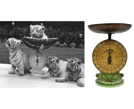 Former Bristol Zoo Gardens - a vintage set of Salter 'Silver & Copper Checker ' coin weighing scales, type No.53, retailed by