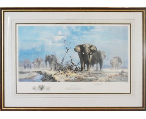 Y Former Bristol Zoo Gardens - David Shepherd (Artist &amp; Conservationist 1931-2017) - The Welcome Storm - a limited editio