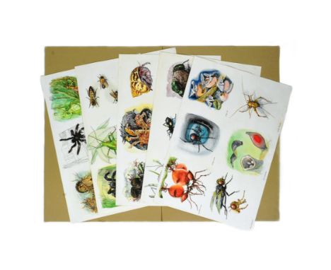 Former Bristol Zoo Gardens - five pieces of original mixed media artwork depicting multiple types of insects. Includes: bees,