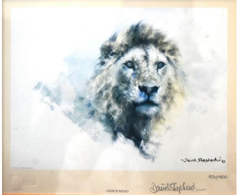 Former Bristol Zoo Gardens - David Shepherd (Artist & Conservationist 1931-2017) - Lion's Head - a limited edition signed pri