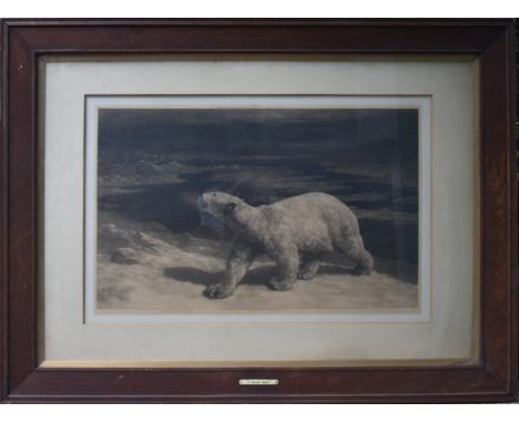 Former Bristol Zoo Gardens - After Herbert Dicksee (1862-1942) - A Polar Night (1912) - etching depicting a polar bear. Signe