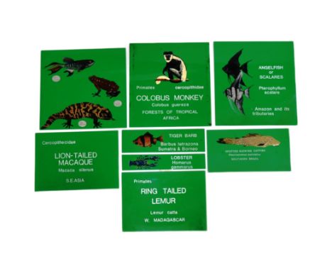 Former Bristol Zoo Gardens - a collection of x8 original vintage (c1970s and later) animal enclosure plaques / signs. Most im