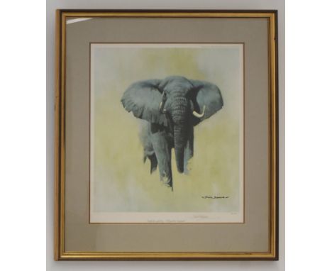 Y Former Bristol Zoo Gardens - David Shepherd (Artist &amp; Conservationist 1931-2017) - Sketch For A Painting - African Bull