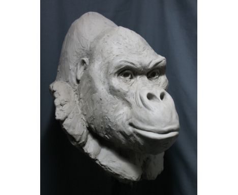 Bristol Zoo Project - Keziah Burt (British Artist, b.1981) - 'Jock' - unique opportunity to own a specially created bronze sc