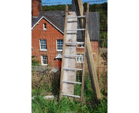Seven rung Aluminum, timber framed ladder. 
