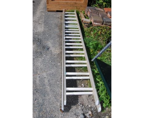 Twelve rung Aluminum double extension ladder.