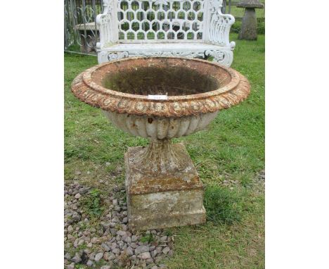 Cast iron planter on pedestal 