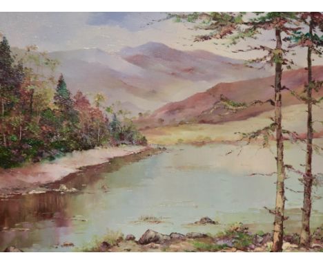 Clifford Kenworthy (British, 20th Century) oil on board, 'Blea Tarn, English Lakes, 1977', signed lower right, within light c