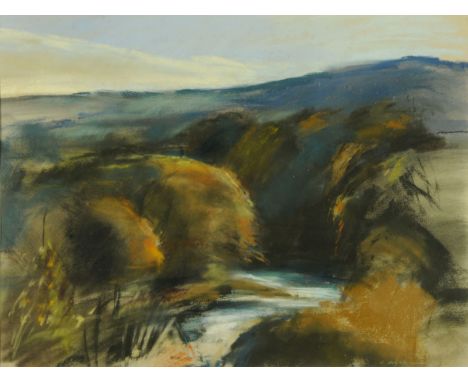 * Donald Wilkinson (20th/21st century), pastel, wooded river landscape at Isel.  53 cm x 70 cm, framed and glazed.  