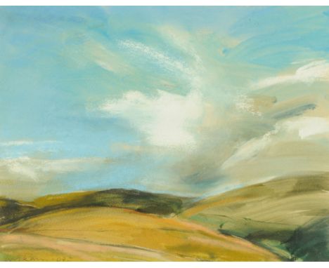 * Donald Wilkinson (20th/21st century), pastel, "Border Landscape Beyond The Hermitage 2009".  25 cm x 33 cm, signed and date