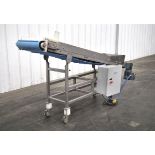 Dyna Belt Cleated Inclined Conveyor