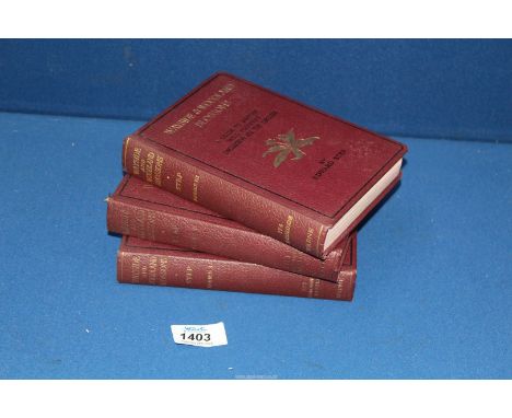 A set of three "Wayside and Woodland Blossoms" Books, series 1-3, by Edward Step.