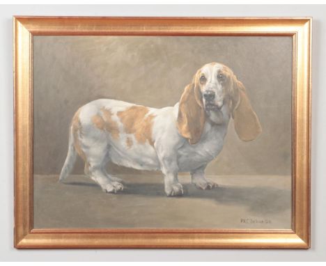 Peter Kenneth Cowley Jackson, a framed oil on panel, study of a Bassett Hound. Signed PKC Jackson and dated 1971. 44.5cm x 59