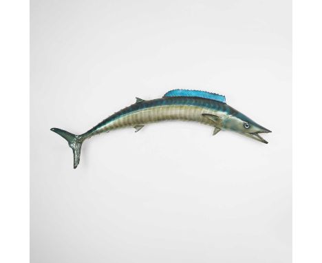 A taxidermy wahoo (Acanthocybium solandri), mid-20th century, by repute caught by Bob Marley with Julian Moulton, Montego Bay