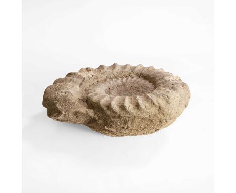 A limestone ammonite fossil, Cretaceous Period, 145 to 66 million years ago,27cm wide8cm deep22cm highCondition ReportRepairs