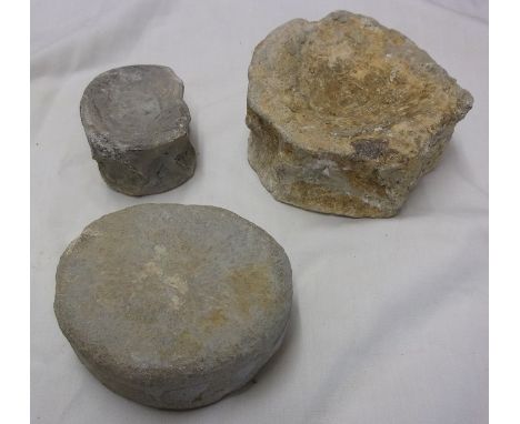 Plesiosaurs&nbsp;fossilized vertebra segments (3) very well preserved with letter of identification by the Norfolk Museums an