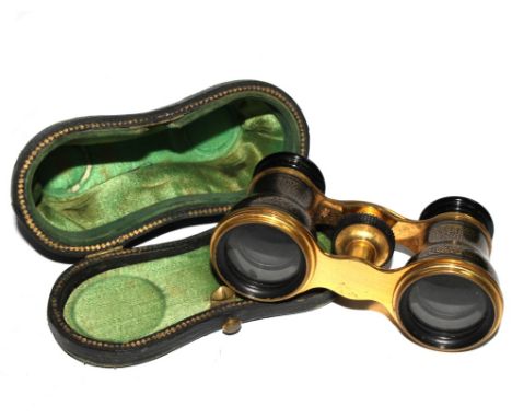 A pair of opera glasses/binoculars with cloisonne enamel barrels in original fitted green leather case 