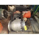 Stainless Steel Gate Valve
