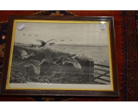 Archibald Thorburn, partridge in flight, pencil signed print together with five other paintings and prints depicting game bir