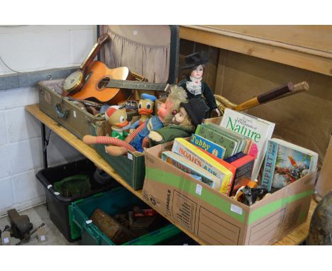 Miscellaneous collectables to include tools, a guitar, cine camera, books etc.