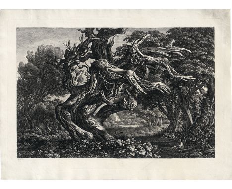 Kolbe, Carl Wilhelm -- Phantastische tote Eiche im Gehölz. Radierung auf Velin. 36,4 x 52, cm. Jentsch 206, Martens 269 IV. B