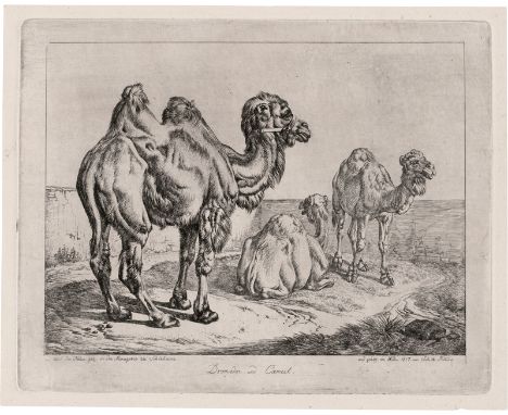 Klein, Johann Adam -- Dromedar und Cameel. Radierung. 19,3 x 24,7 cm. 1817. Jahn 185 I (von II). Von 1811 bis 1815 verweilte 